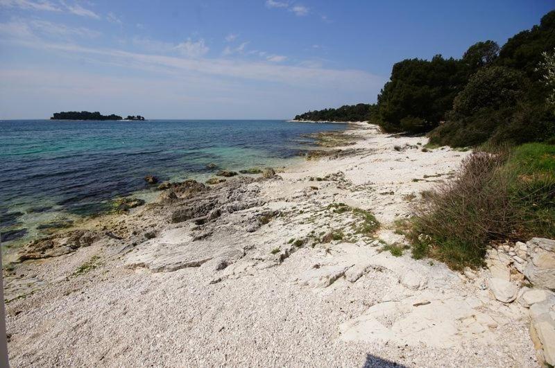 In With A Sea View, Balcony, Air Conditioning, Wifi 81-2 Gasthof Rovinj