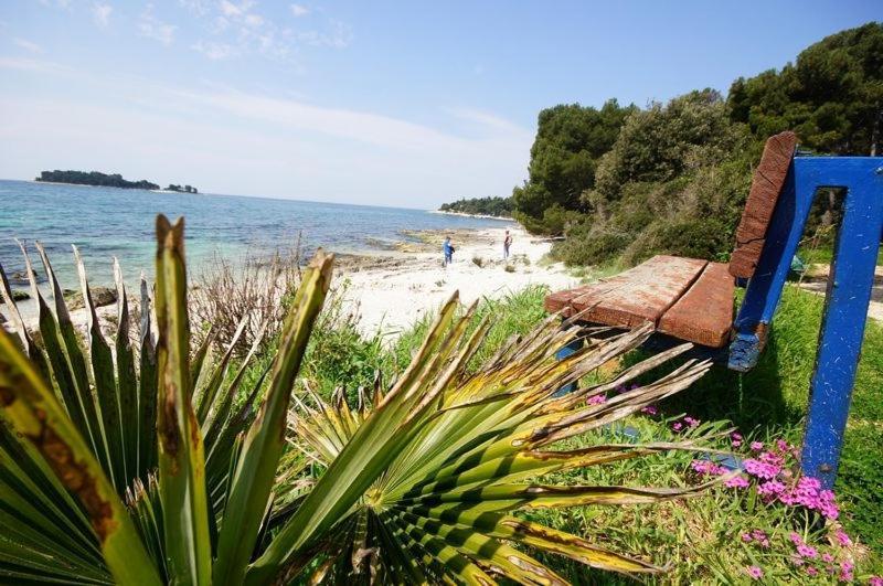 In With A Sea View, Balcony, Air Conditioning, Wifi 81-2 * Rovinj