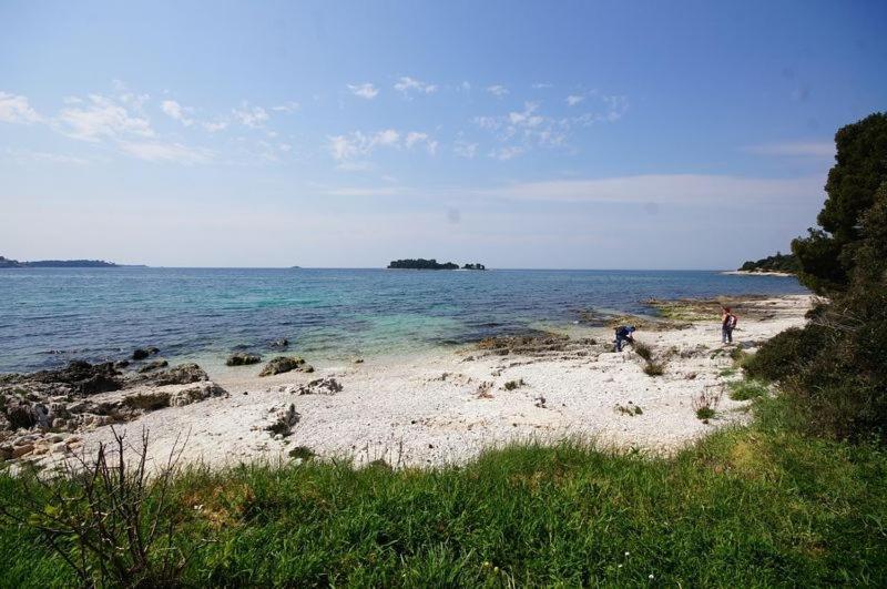 In With A Sea View, Balcony, Air Conditioning, Wifi 81-2 Gasthof *