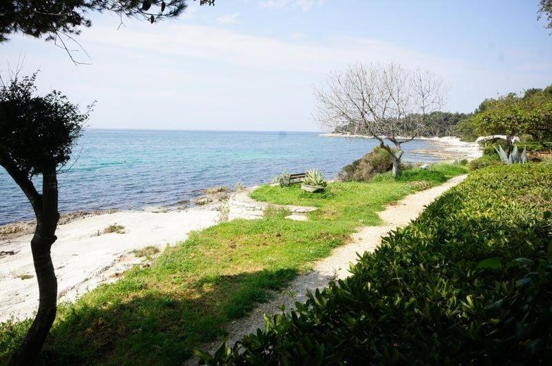 In With A Sea View, Balcony, Air Conditioning, Wifi 81-2 Rovinj